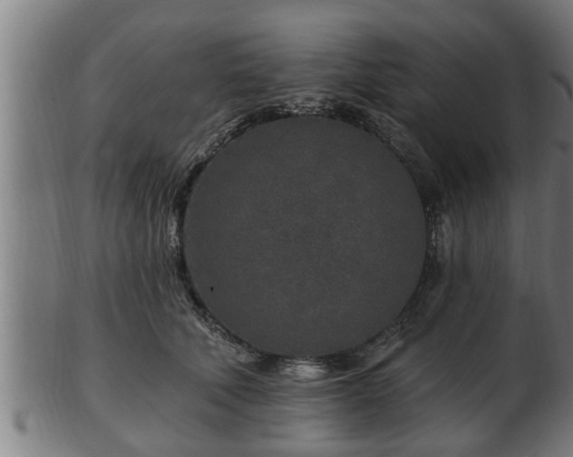 X0000103320610200809121149