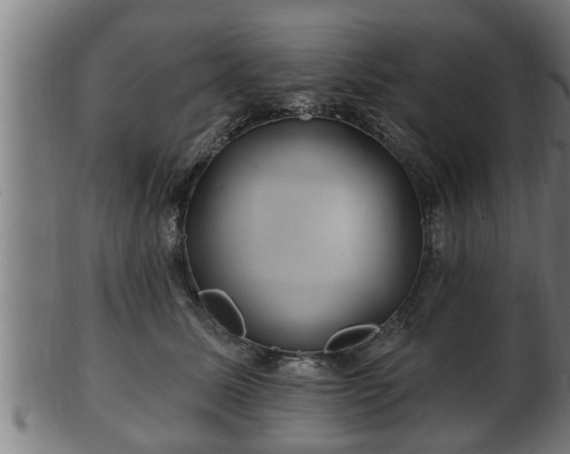 X0000103320611200809121149