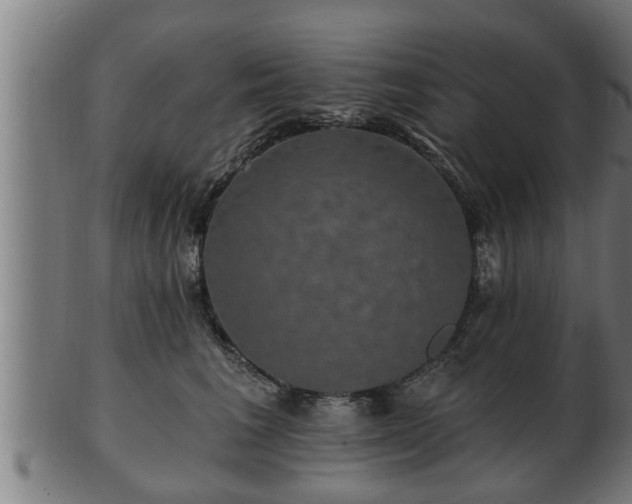 X0000103320613200809121149