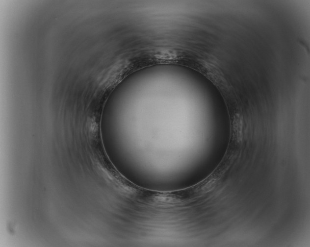 X0000103320614200809121149