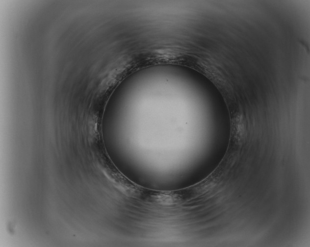 X0000103320615200809121149