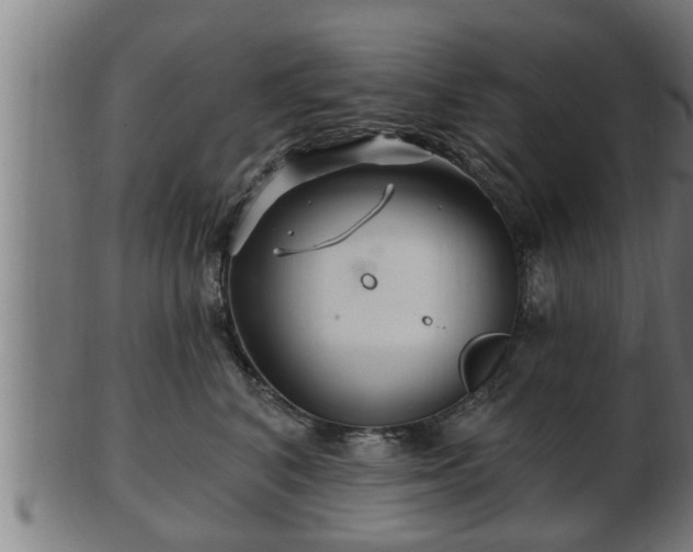 X0000103320616200809121149