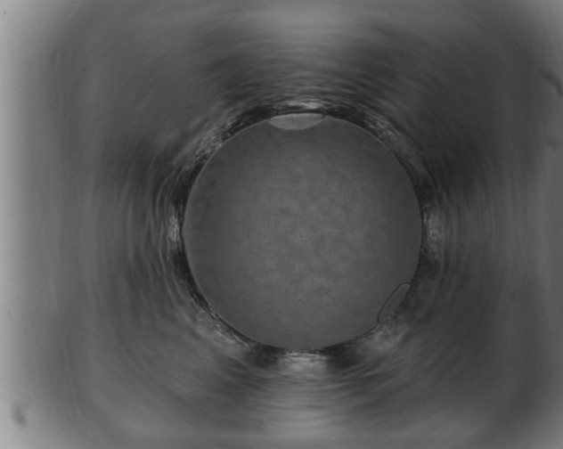 X0000103320617200809121149