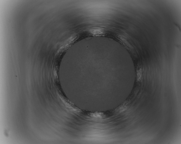 X0000103320618200809121149