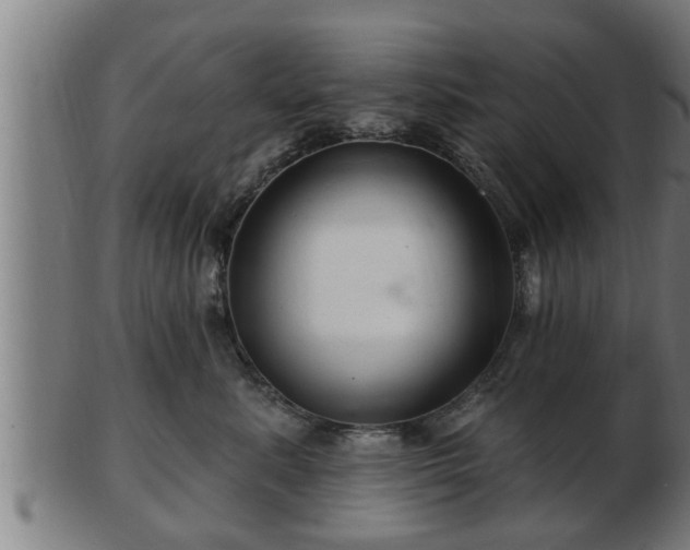 X0000103320619200809121149