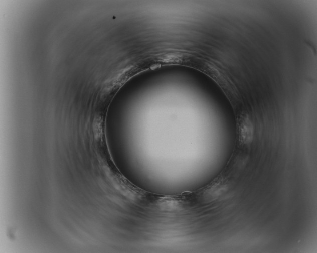 X0000103320620200809121149