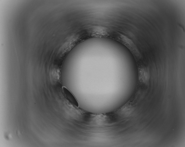 X0000103320621200809121149