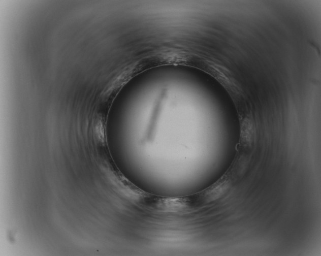 X0000103320622200809121149