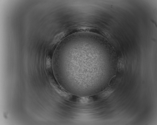 X0000103320623200809121149