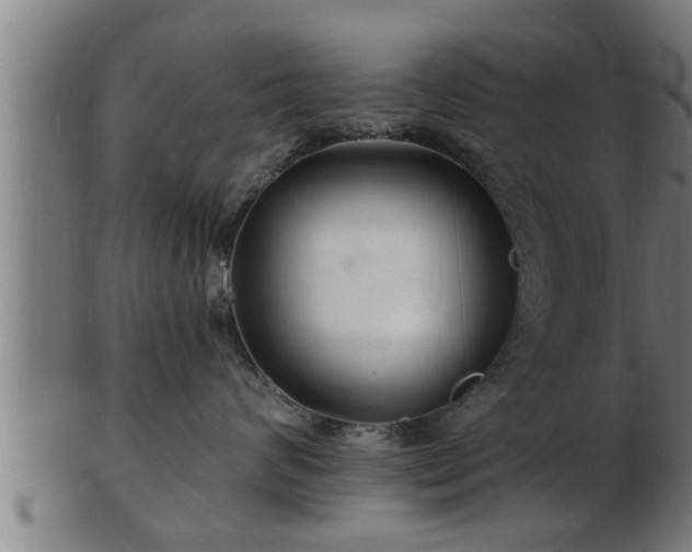 X0000103320624200809121149