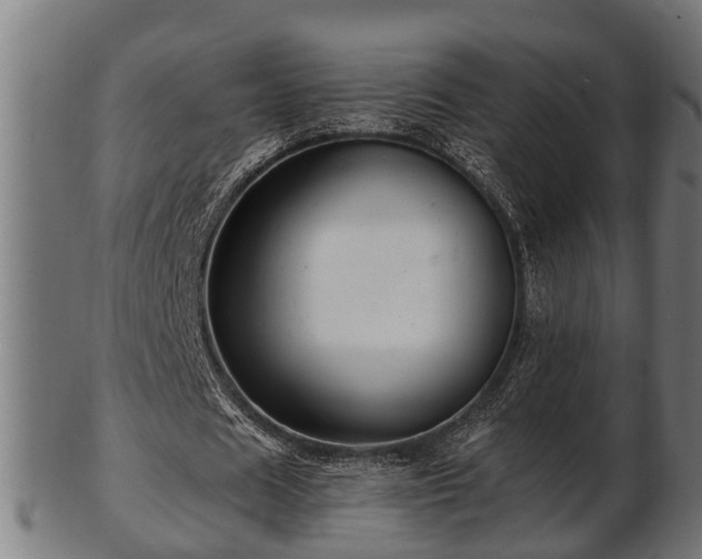 X0000103320625200809121148