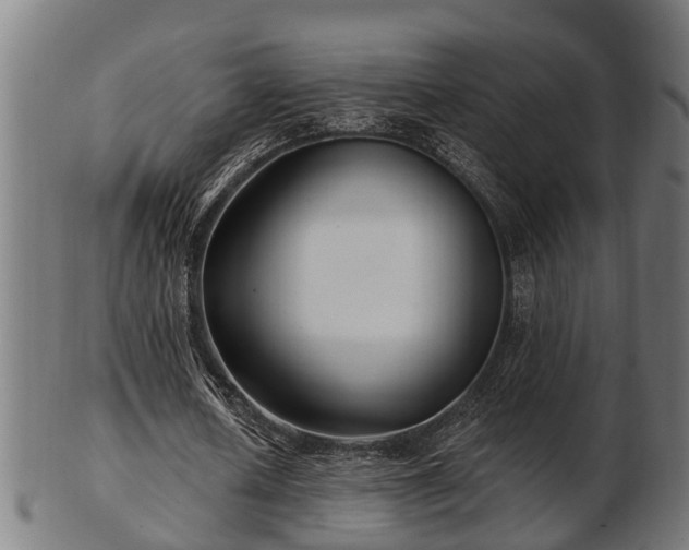 X0000103320626200809121148