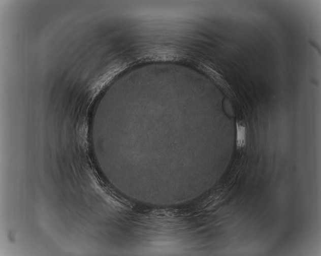 X0000103320627200809121148