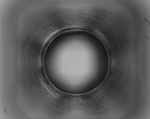 X0000103320628200809121148