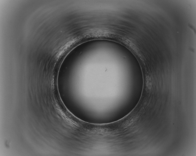 X0000103320629200809121148