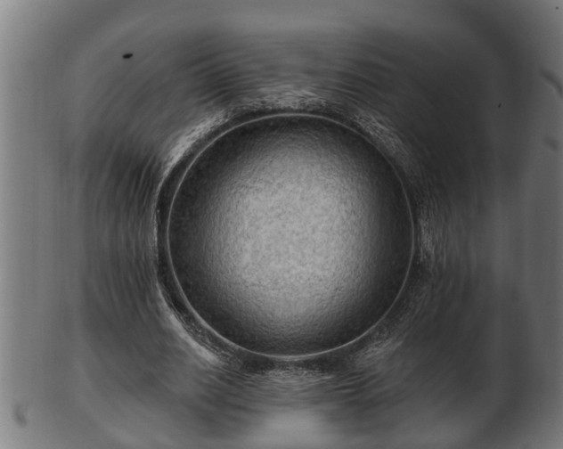 X0000103320630200809121148