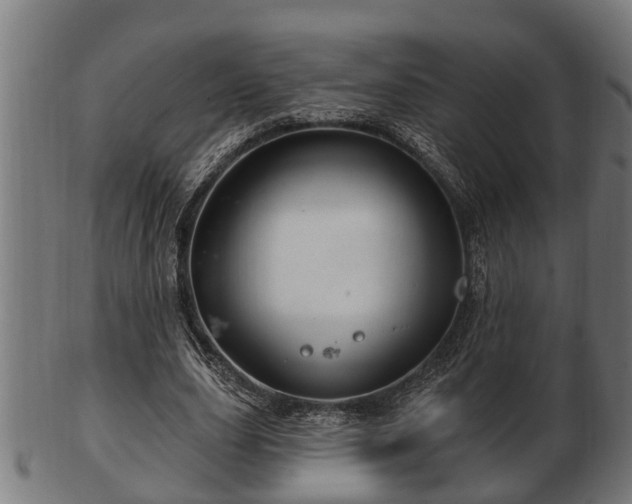 X0000103320631200809121148