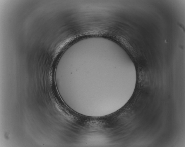 X0000103320632200809121148