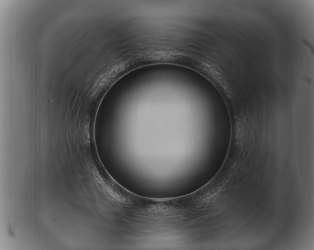 X0000103320633200809121148