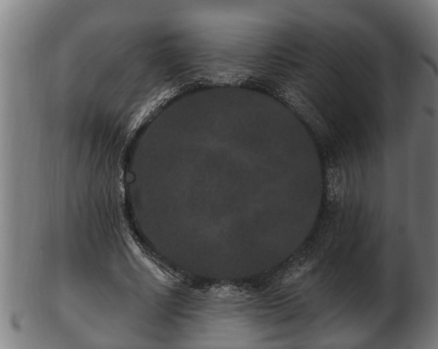 X0000103320634200809121148