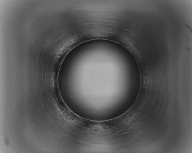 X0000103320635200809121148