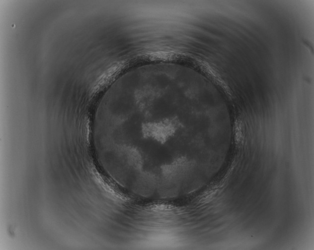 X0000103320637200809121148