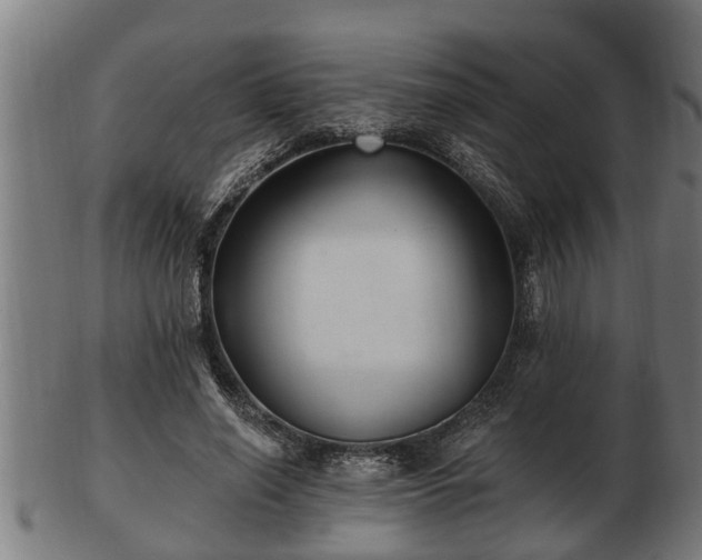 X0000103320638200809121149