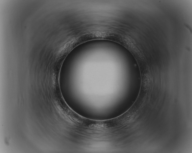 X0000103320639200809121149