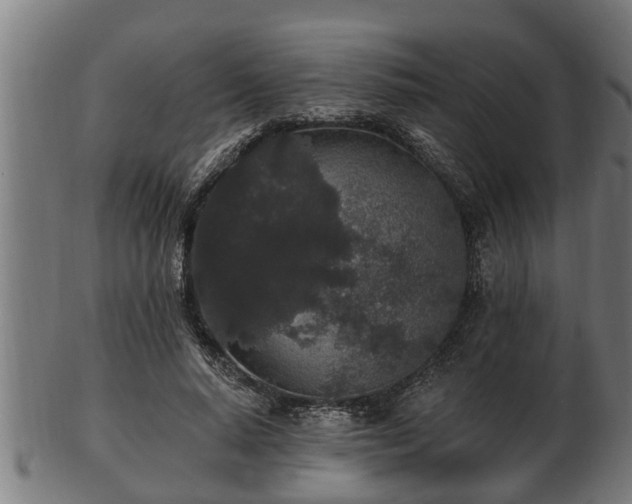 X0000103320640200809121149