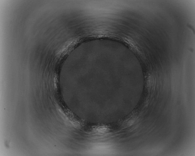 X0000103320643200809121149