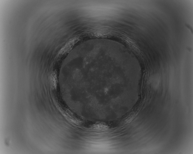 X0000103320644200809121149