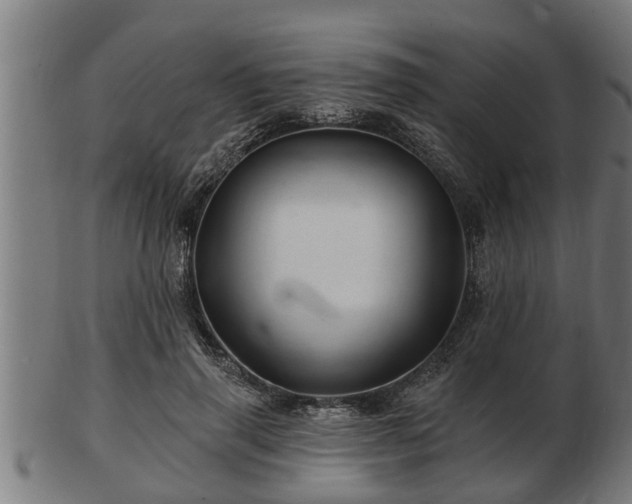 X0000103320645200809121149