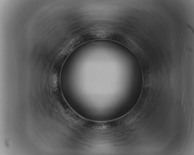 X0000103320646200809121149