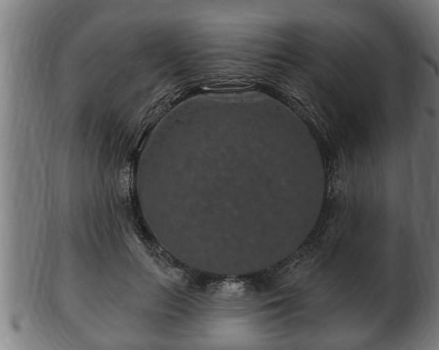 X0000103320647200809121149