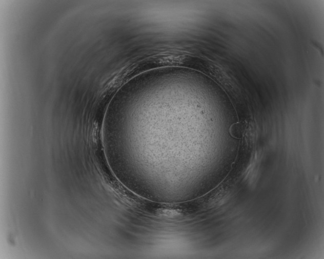 X0000103320649200809121149