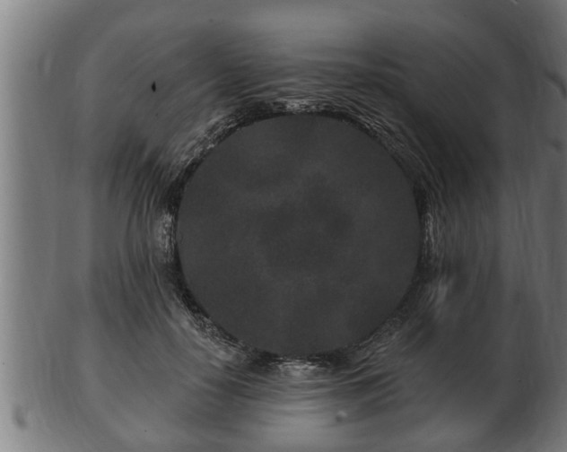 X0000103320650200809121149