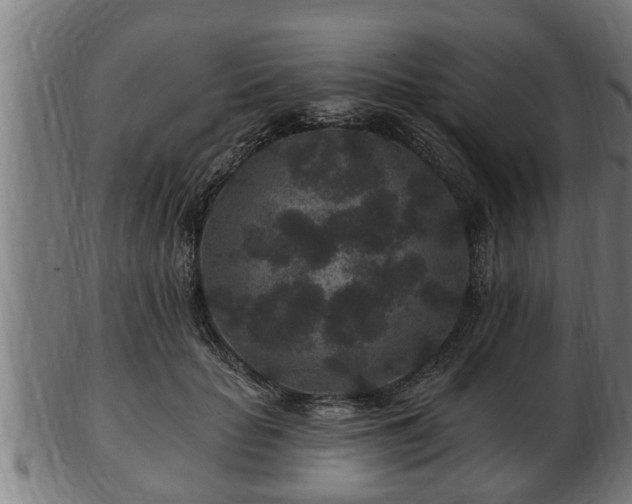 X0000103320653200809121149