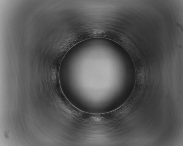 X0000103320654200809121149