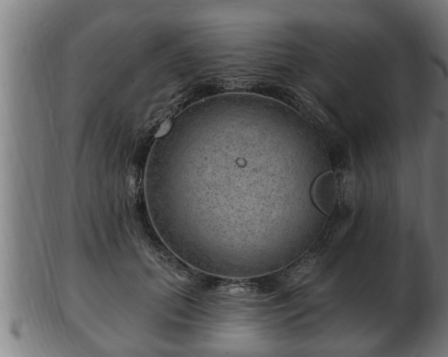 X0000103320655200809121149