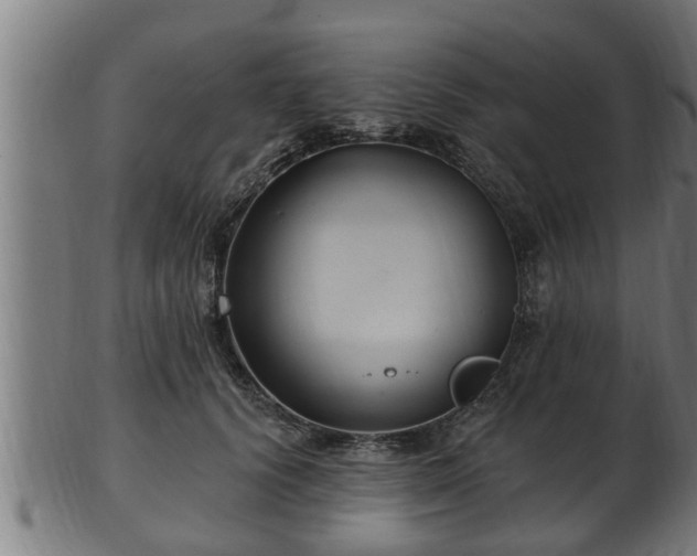 X0000103320656200809121149