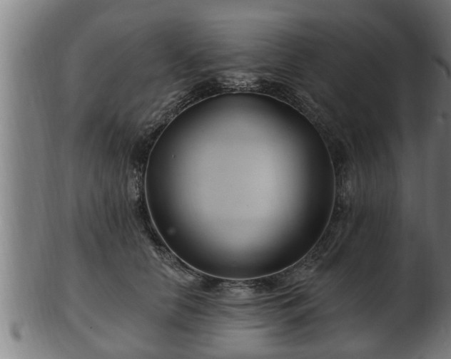 X0000103320658200809121149