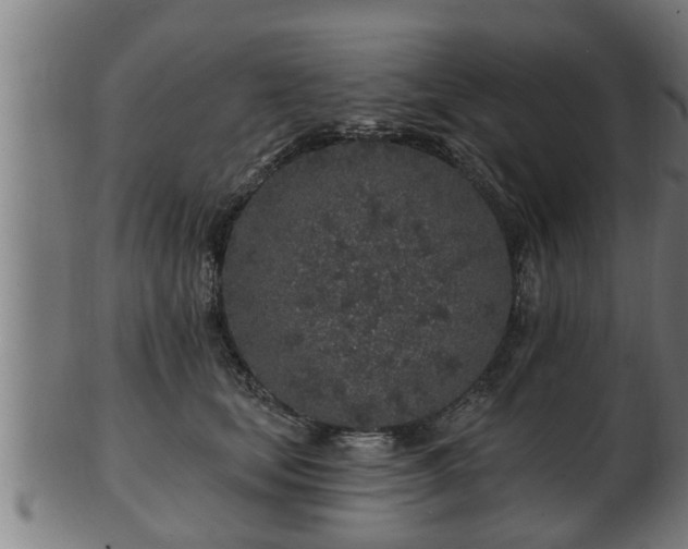 X0000103320659200809121149