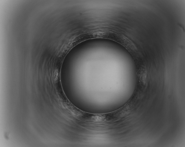 X0000103320660200809121149