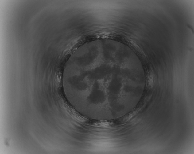 X0000103320661200809121149