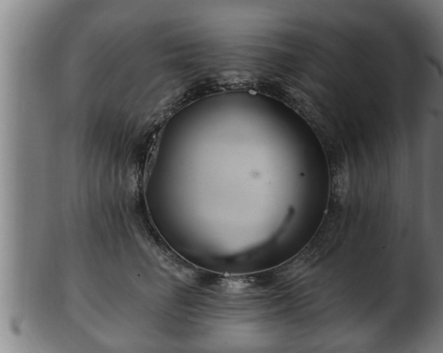 X0000103320662200809121149