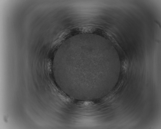 X0000103320663200809121149