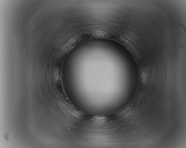 X0000103320665200809121149