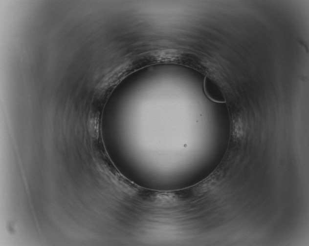 X0000103320666200809121149