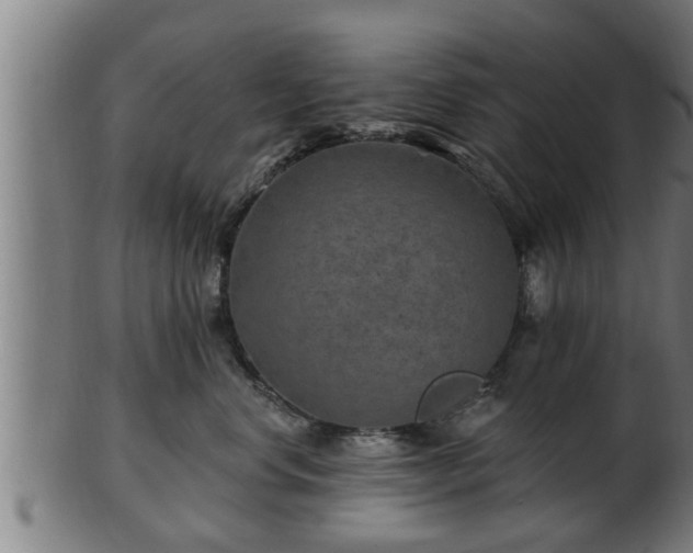 X0000103320668200809121149