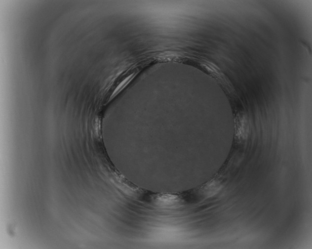 X0000103320669200809121149